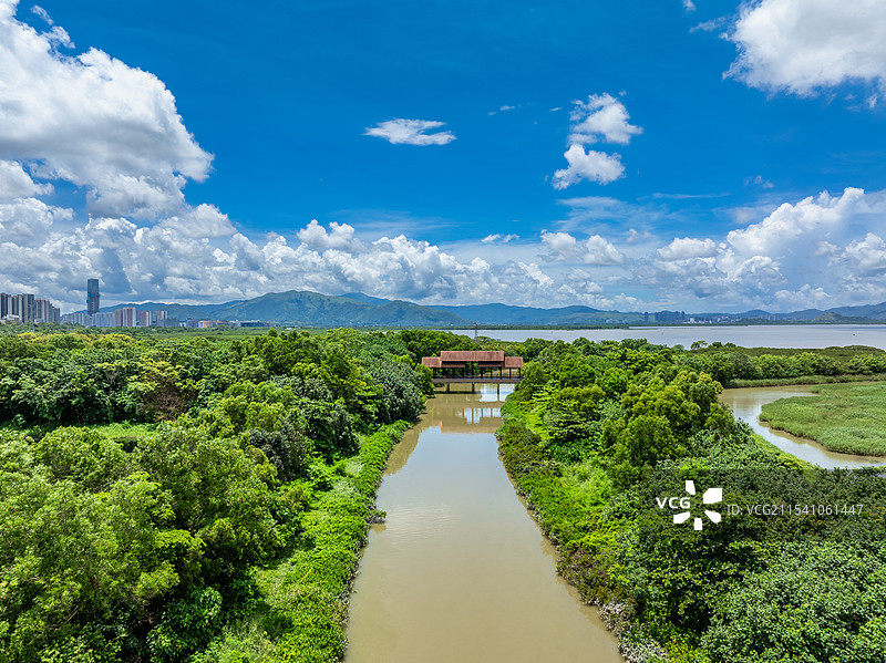 深圳市福田红树林自然保护区航拍图片素材
