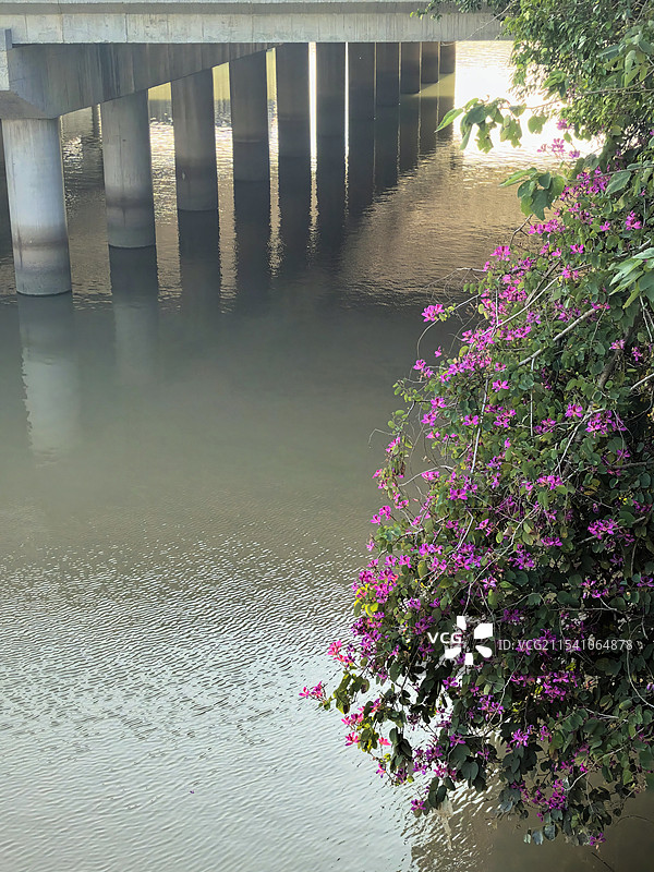 闽江边图片素材