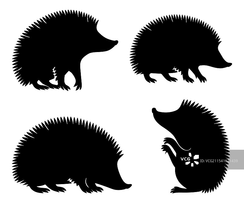 可爱的刺猬剪影图片素材