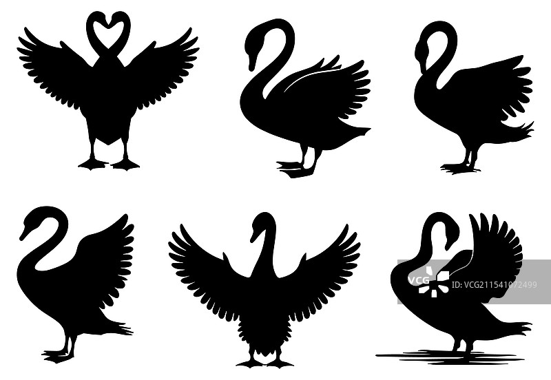 天鹅剪影以各种姿势展示图片素材