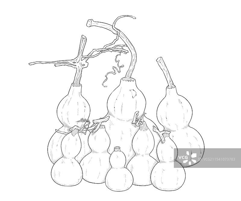 葫芦素描线稿图片素材