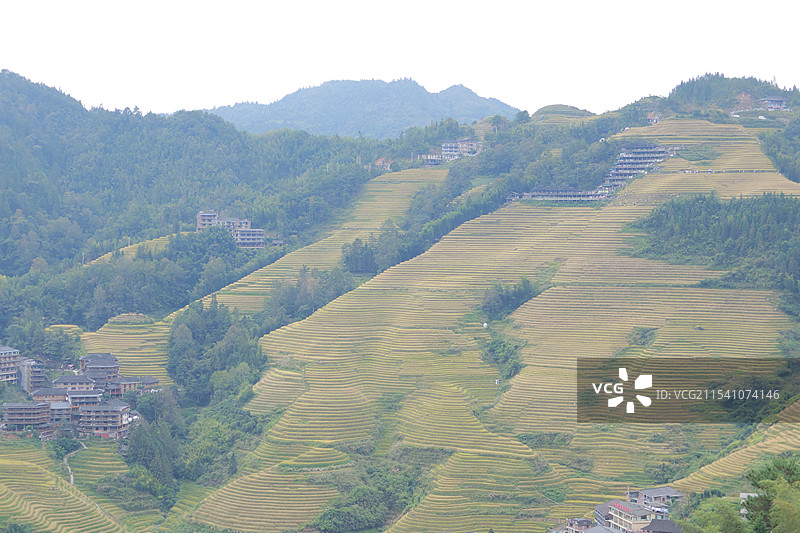 龙脊梯田，金坑大寨，桂林图片素材