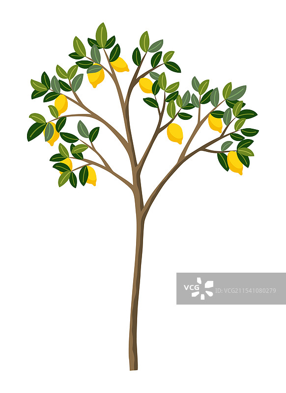 孤立的卡通柠檬树图片素材