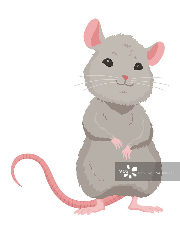 可爱的卡通小鼠展示它们的图片素材