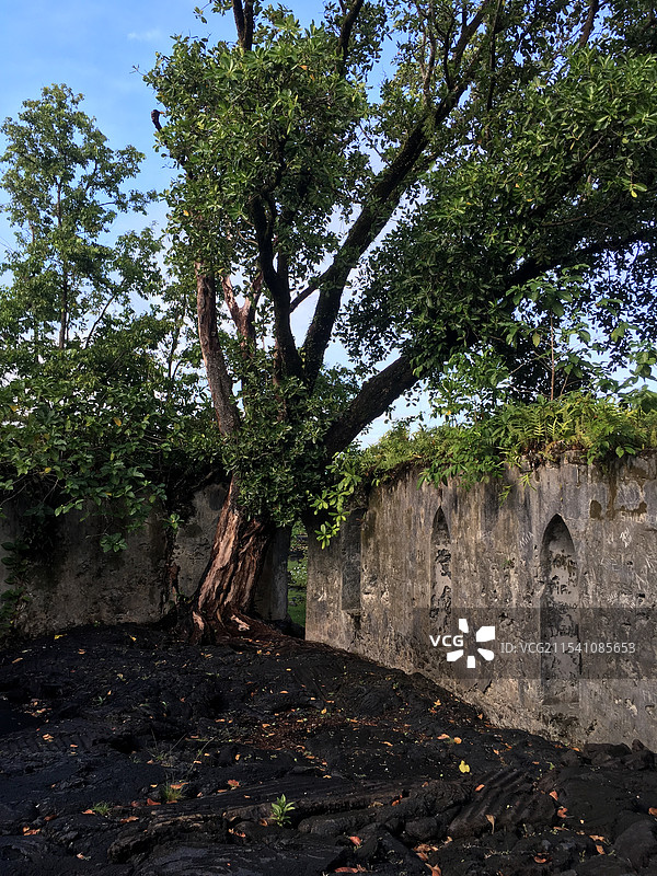 萨摩亚London Missionary Society Church遗址图片素材