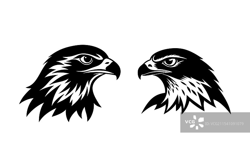 红尾鹰头部轮廓艺术图片素材