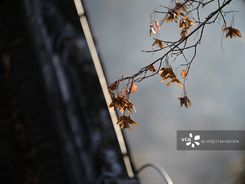 潭柘寺冬景图片素材