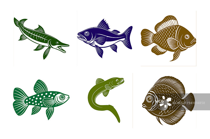 鱼的线条艺术图片素材