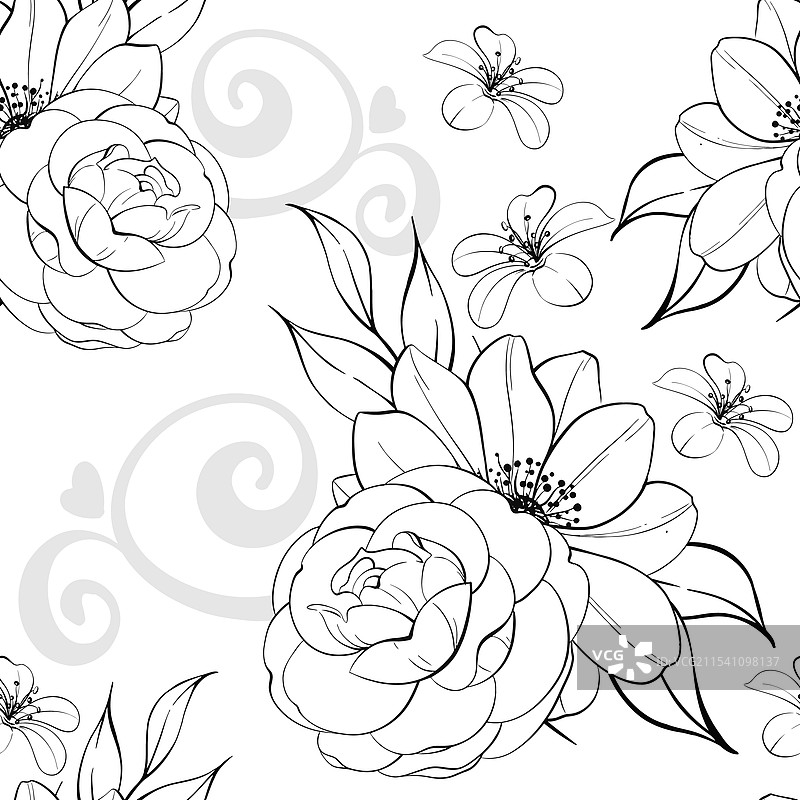 复古美丽的玫瑰和银莲花图片素材