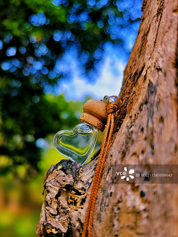 静物摄影练习图片素材