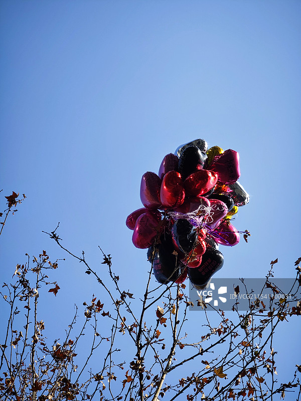 未放飞的气球图片素材