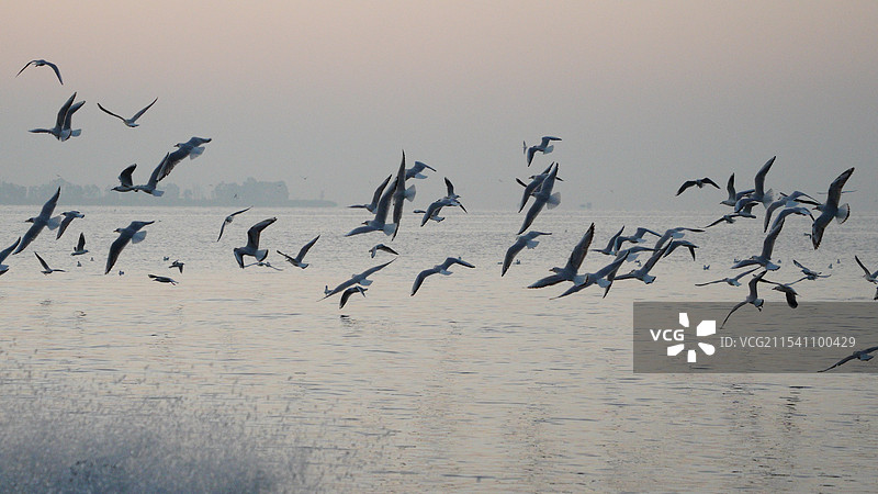 昆明海埂公园日出图片素材