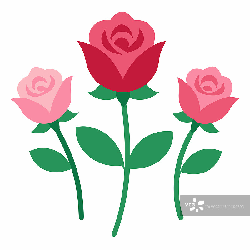 鲜艳的红玫瑰盛开 - 花卉玫瑰图片素材