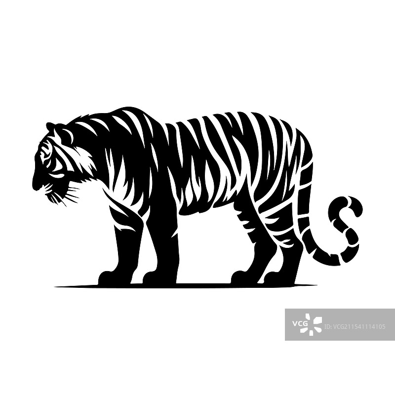 老虎文件艺术设计图片素材