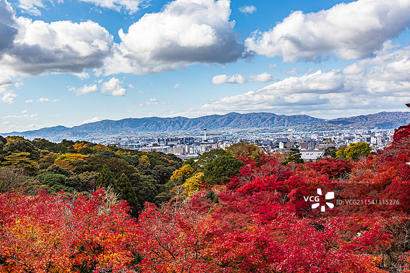 日本京都清水寺秋景图片素材