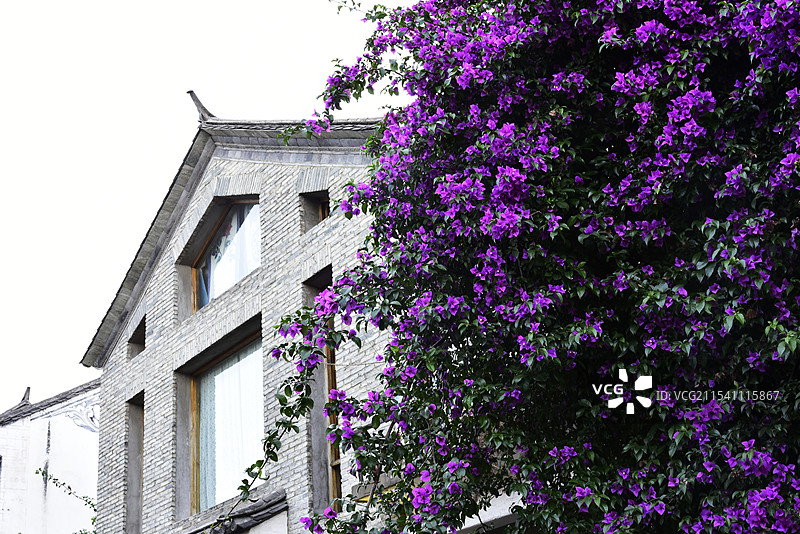 云南大理古城建筑外部绽放的鲜花图片素材