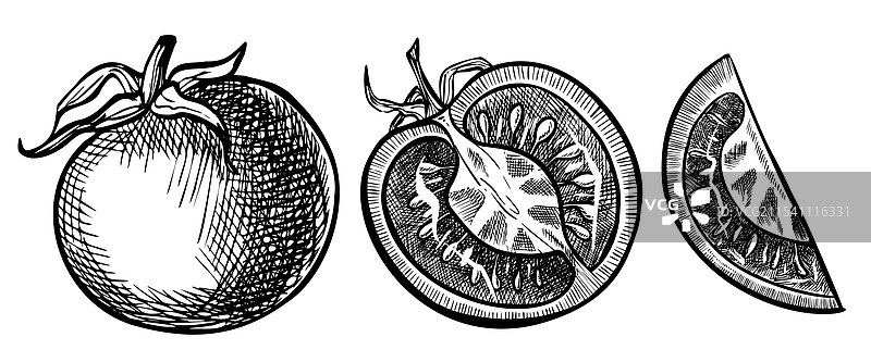 樱桃番茄的绘画图片素材