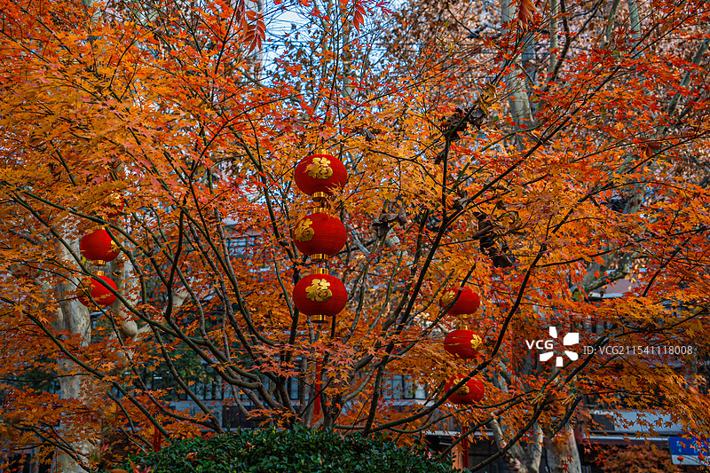 上海 衡复风貌区 高安路 高安花园 蓝色长椅图片素材