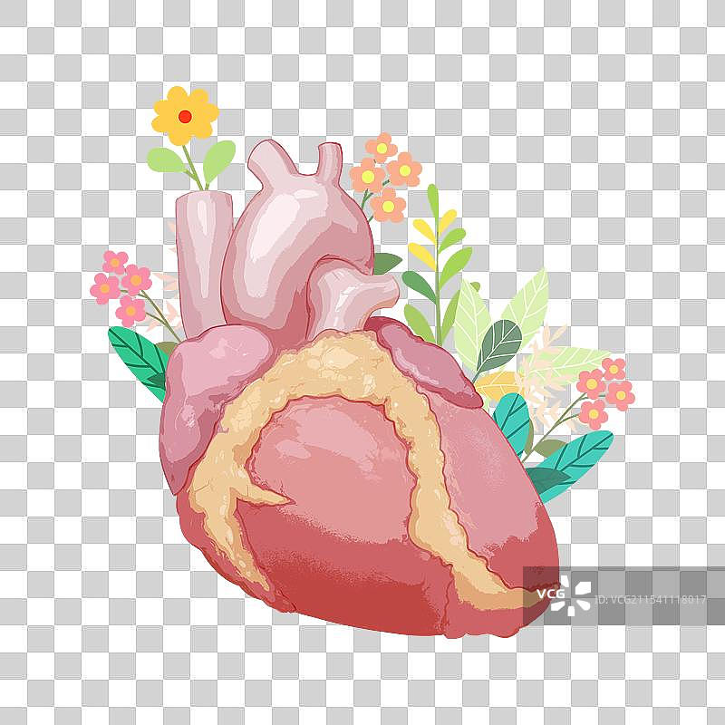 医疗健康生机勃勃的人体内脏器官五脏六腑插画元素图片素材