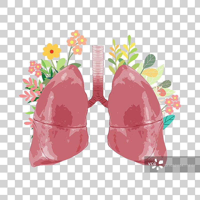 医疗健康生机勃勃的人体内脏器官五脏六腑插画元素图片素材