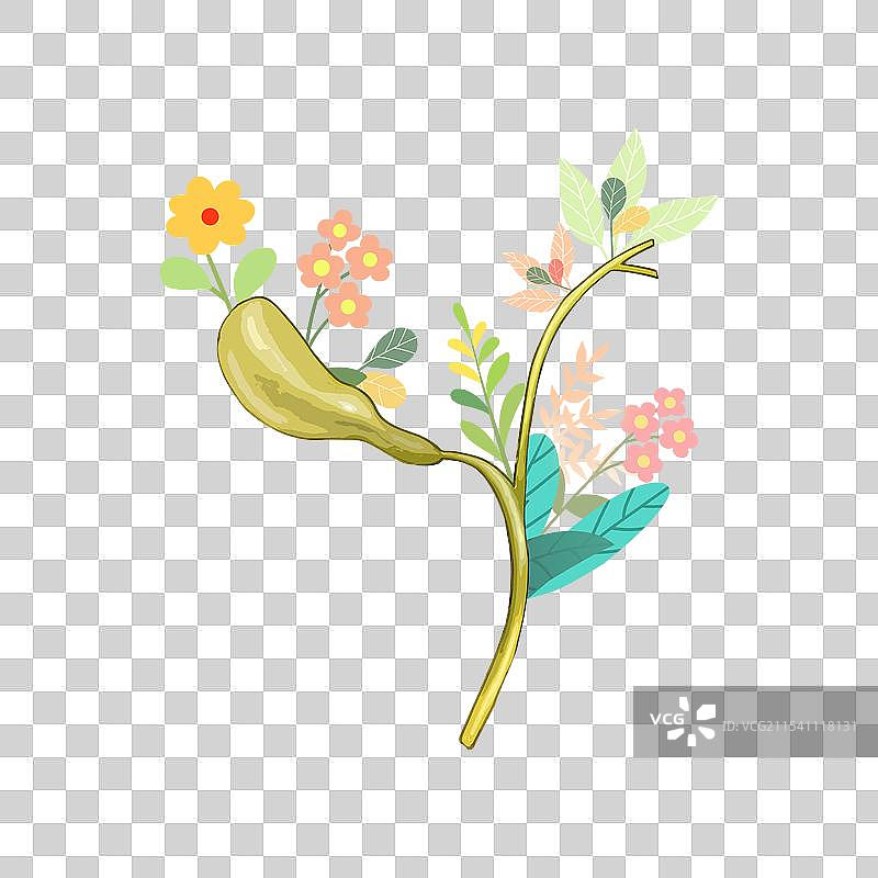 医疗健康生机勃勃的人体内脏器官五脏六腑插画元素图片素材