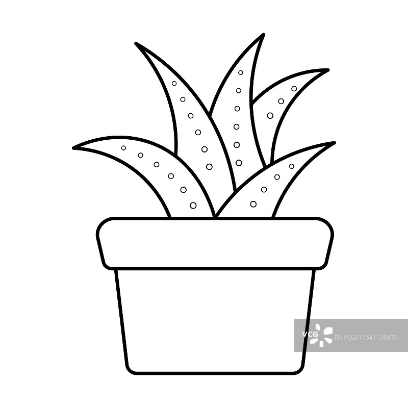 多肉植物轮廓图图片素材