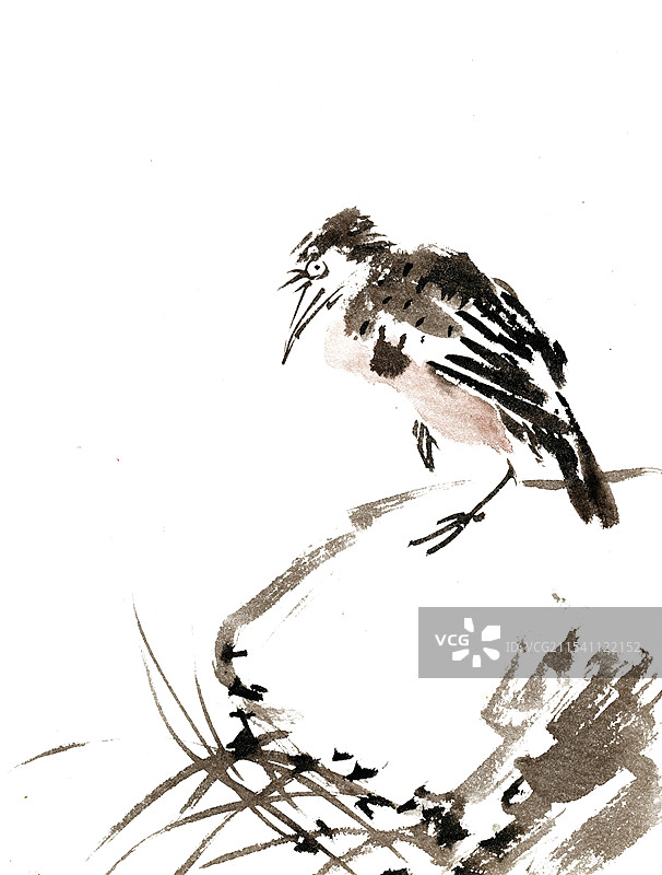 石头与小鸟图片素材