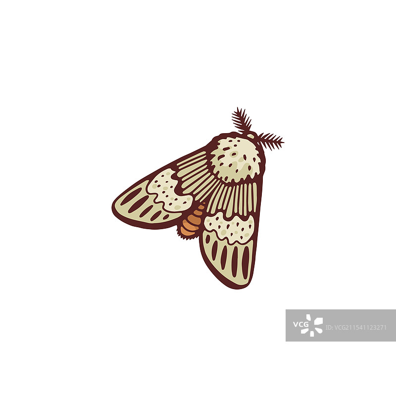 卡通蛾子扁平图标，棕色蝴蝶蛾图片素材