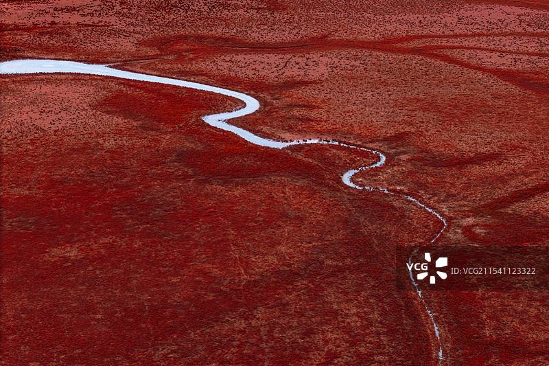 盐城东台条子泥的秋天图片素材