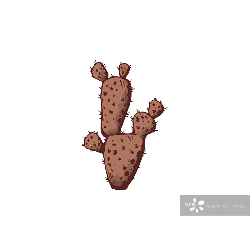 手绘的沙漠仙人掌无花果图片素材