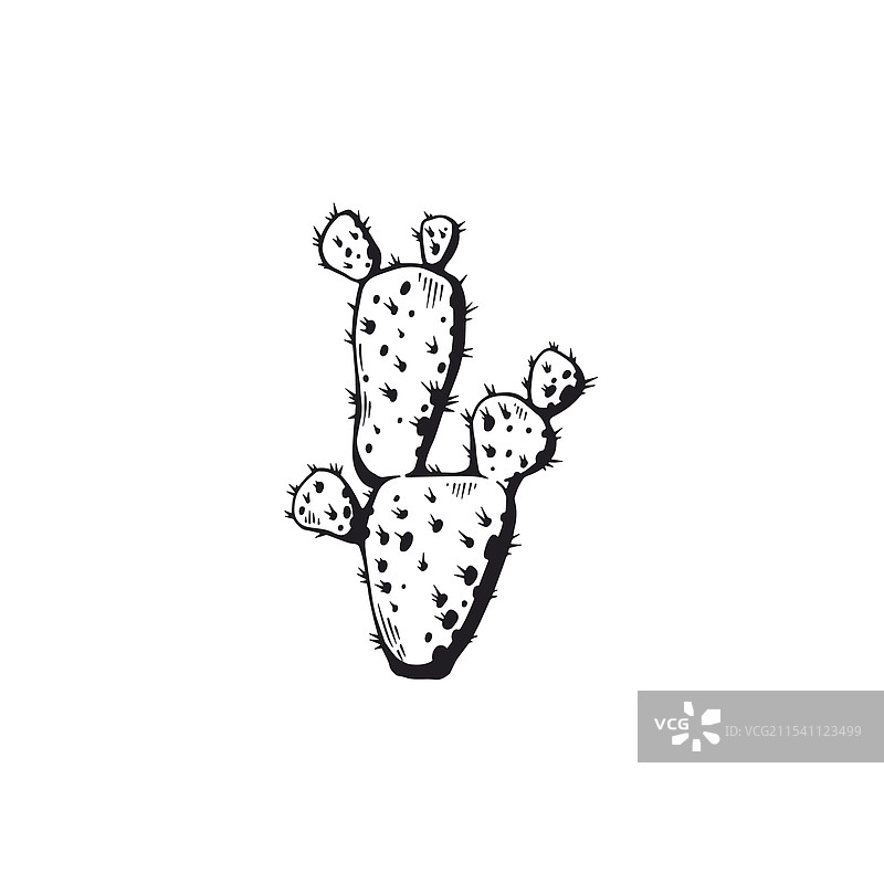 沙漠仙人掌果黑色轮廓图片素材