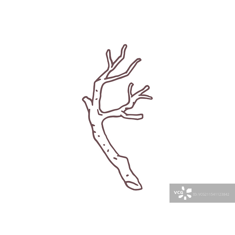 涂鸦风格的树枝图片素材