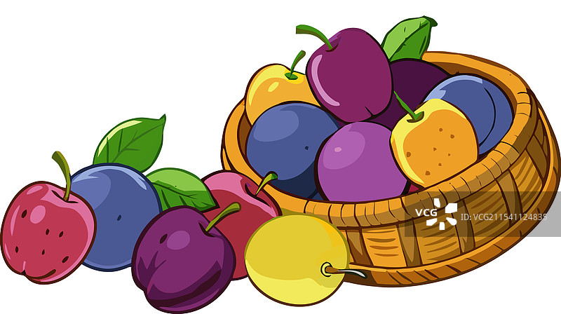 新鲜采摘的李子和苹果溢出而出图片素材