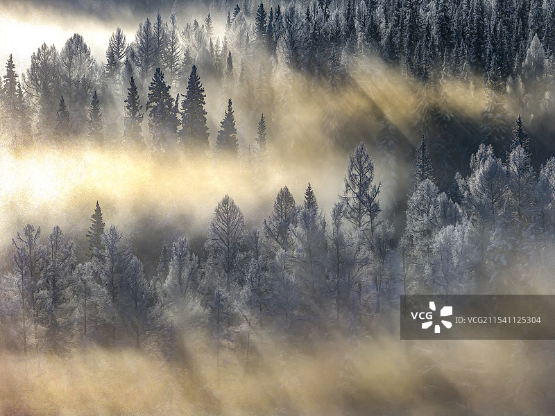 新疆阿勒泰地区喀纳斯丁达尔雪景森林雾凇图片素材