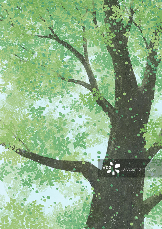 节气插画大树图片素材