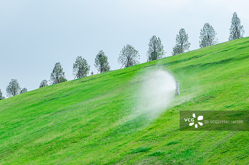 中国非都市风光拍摄主题，低视角仰拍绿色的草坪，正在浇地灌溉的园艺环卫工人，户外白昼无人图像摄影图片素材