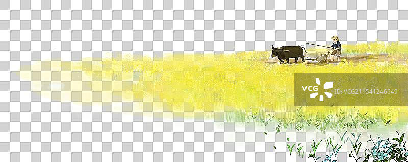 春天油菜花田中农民耕种图片素材