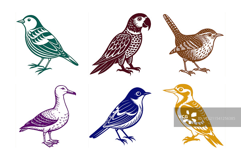 鸟类线条艺术图片素材