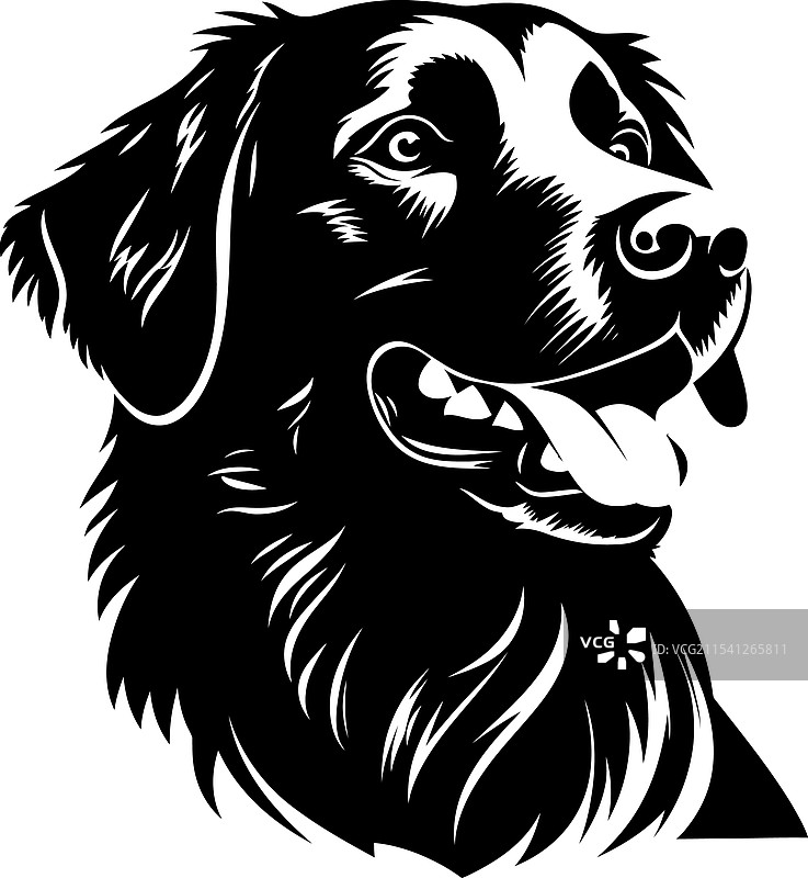 金毛寻回犬剪影在白色背景上图片素材