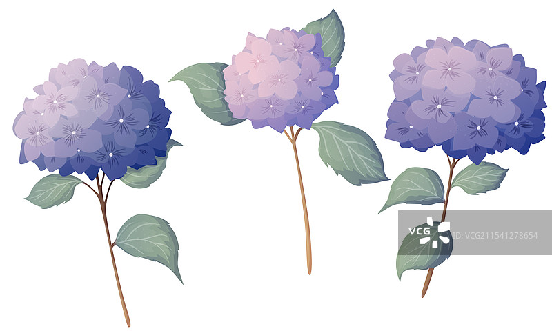 一组美丽的花卉花束图片素材