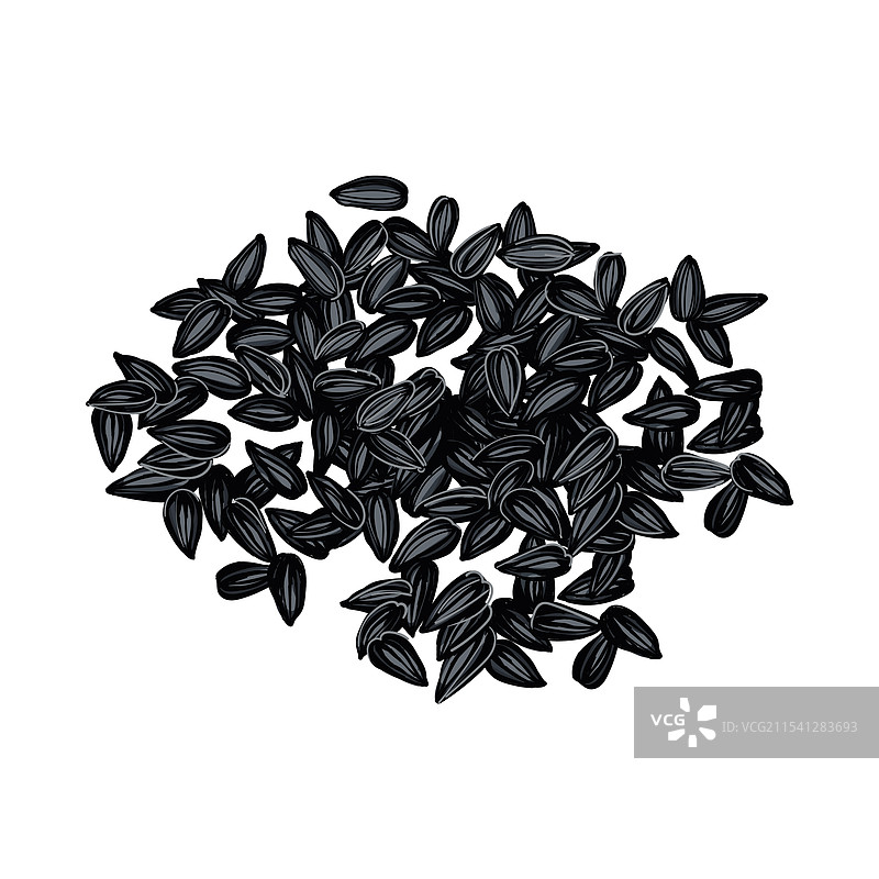 五彩缤纷的葵花籽图片素材