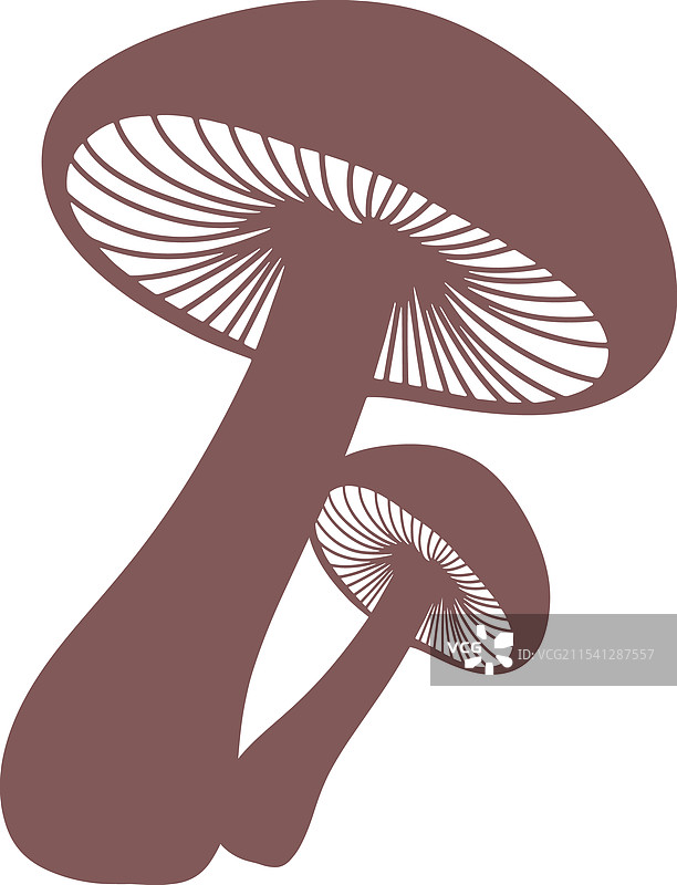 蘑菇 1图片素材