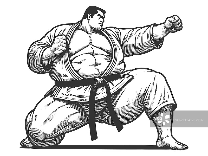 武术家处于战斗姿势图片素材
