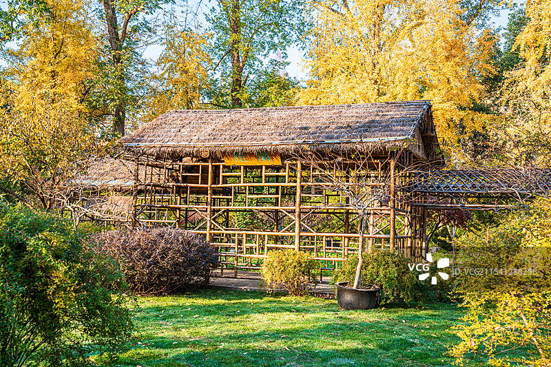 拙政园 竹篱茅舍 茅草屋  苏州园林 江南 中式美学图片素材
