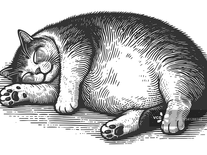 睡觉的猫雕刻素描图片素材