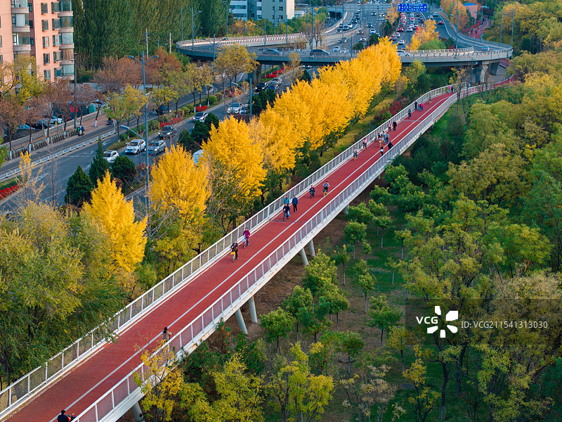 太原汾河公园自行车道秋景航拍图片素材