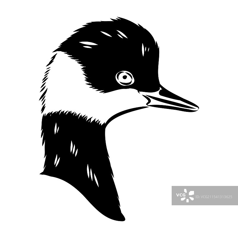 蘑菇鸭素描古董雕刻图画图片素材