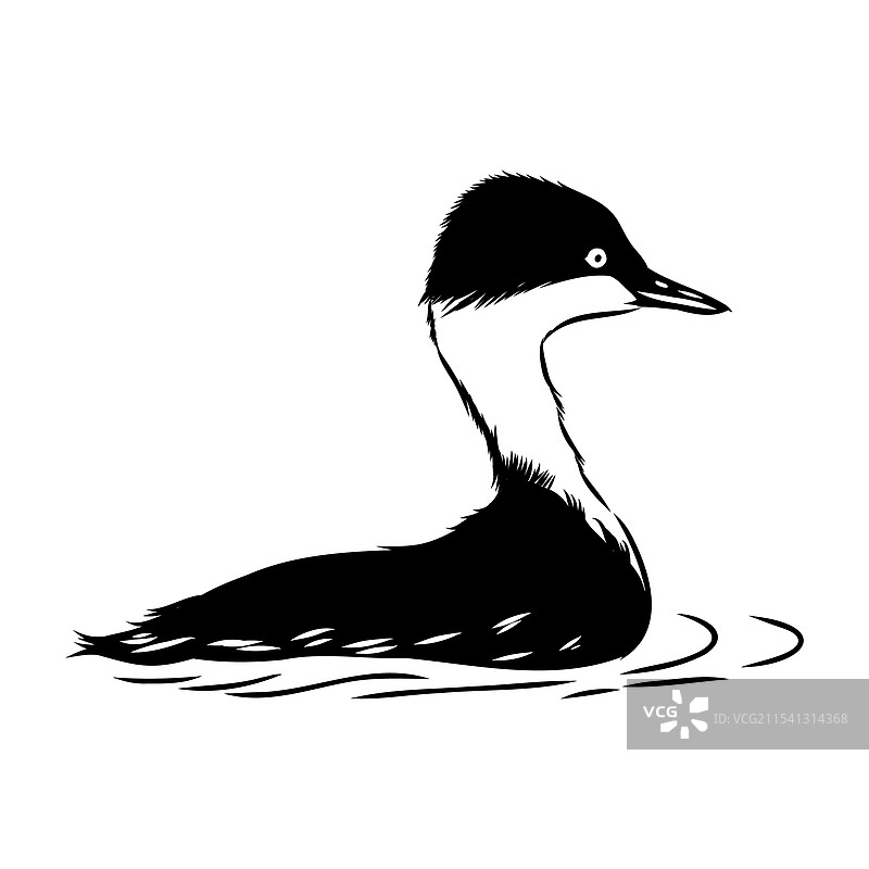 蘑菇鸭素描古董雕刻画图片素材