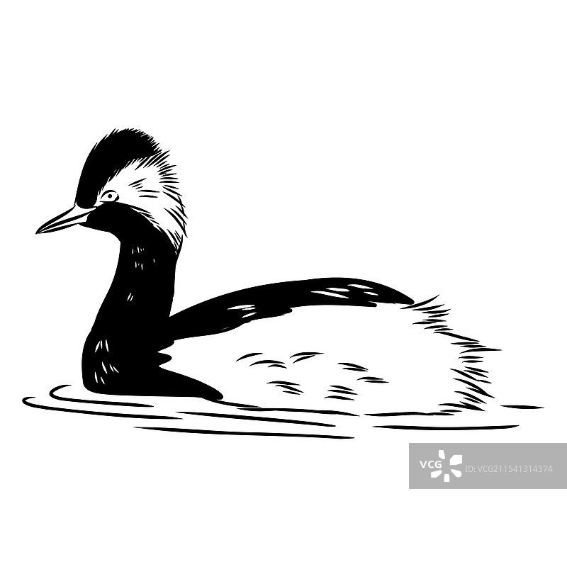 蘑菇鸭素描古董雕刻画图片素材