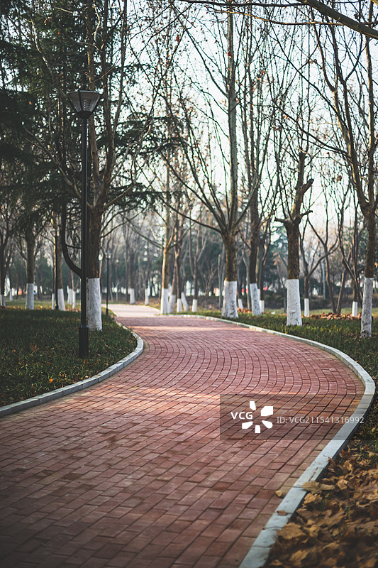 中国园林拍摄主题，现代城市公园，两侧的花坛和平坦的步行道路，户外白昼无人图像摄影图片素材